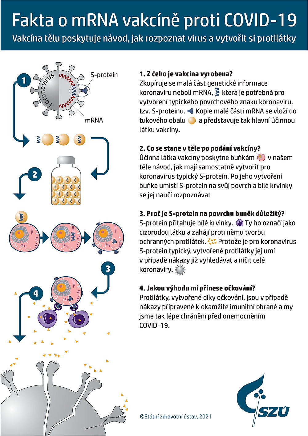 fakta o mRNA vakcíně proti COVID-19