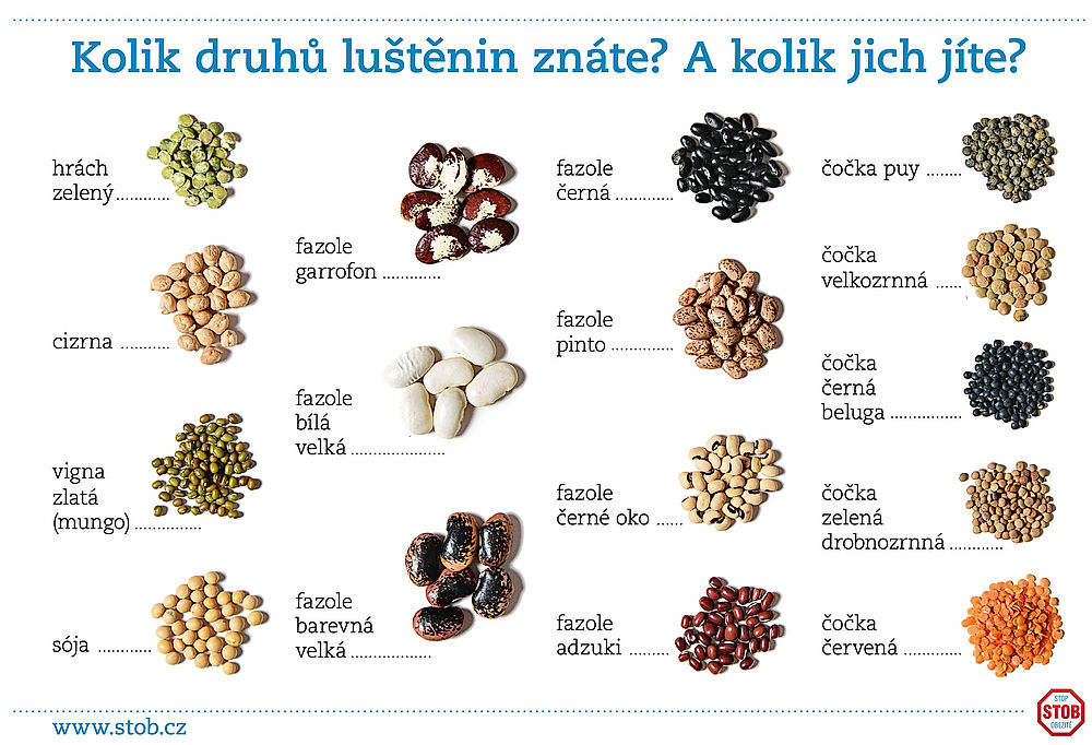 ilustrační obrázek: různé druhy luštěnin
