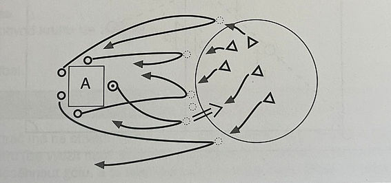 ilustrační obrázek: na Vaška