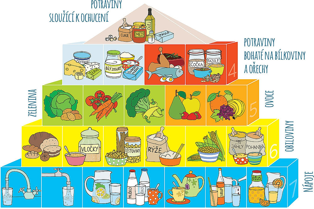 Potravinová pyramida, která poradí, jak často které druhy potravin konzumovat. Na spodní nejširší základně sedmi kostiček jsou nápoje (hodně vody, mléko, čaj, šťávy, džus). Nad nimi jsou na šesti kostičkách obiloviny (pečivo, vločky, těstoviny, rýže, kukuřice, jáhly, pohanka atd.). O něco méně, pět kostiček, mají být ve stravě zastoupeny ovoce a zelenina, ještě méně, čtyři kostičky, bílkoviny (mléčné výrobky, maso, ryby, luštěniny) a nejméně potraviny sloužící k ochucení (tuky, cukr, med apod.), ty tvoří jen špičku pyramidy.