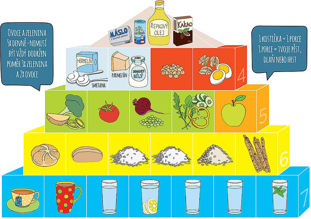 obrázek 3 k článku Potravinová pyramida v praxi