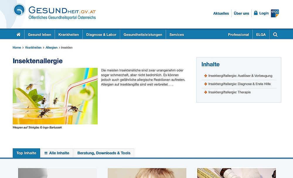 obrázek 1 k článku Veřejný rakouský portál o zdraví